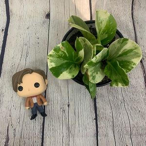 11th Doctor Funko POP Figure